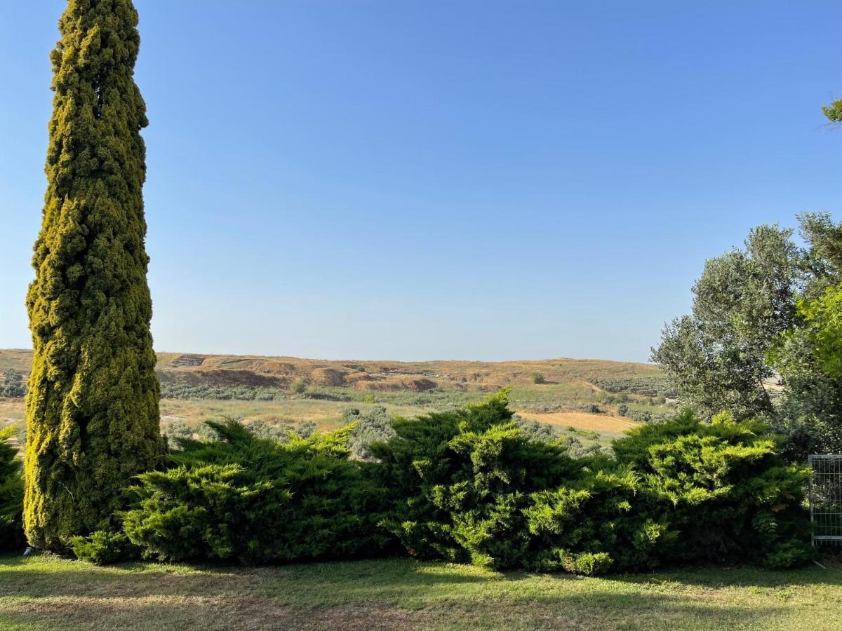 Villa Ba'Gefen Karmei Yosef Eksteriør billede